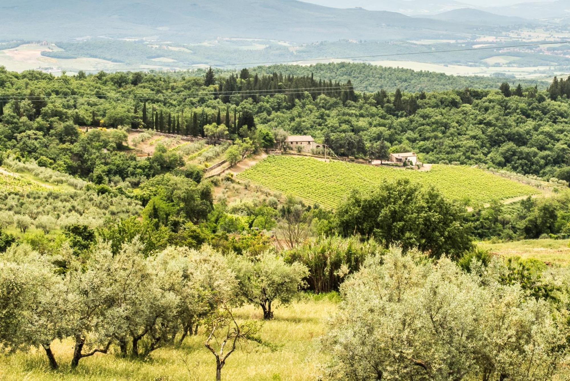 Cottage San Bartolomeo Castellina in Chianti Extérieur photo